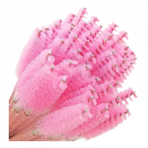 Cepillo para pestañas