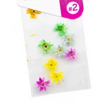 Naturaleza Muerta AcryLove Set 2