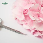 Tijera profesional Para Cutícula KD.718