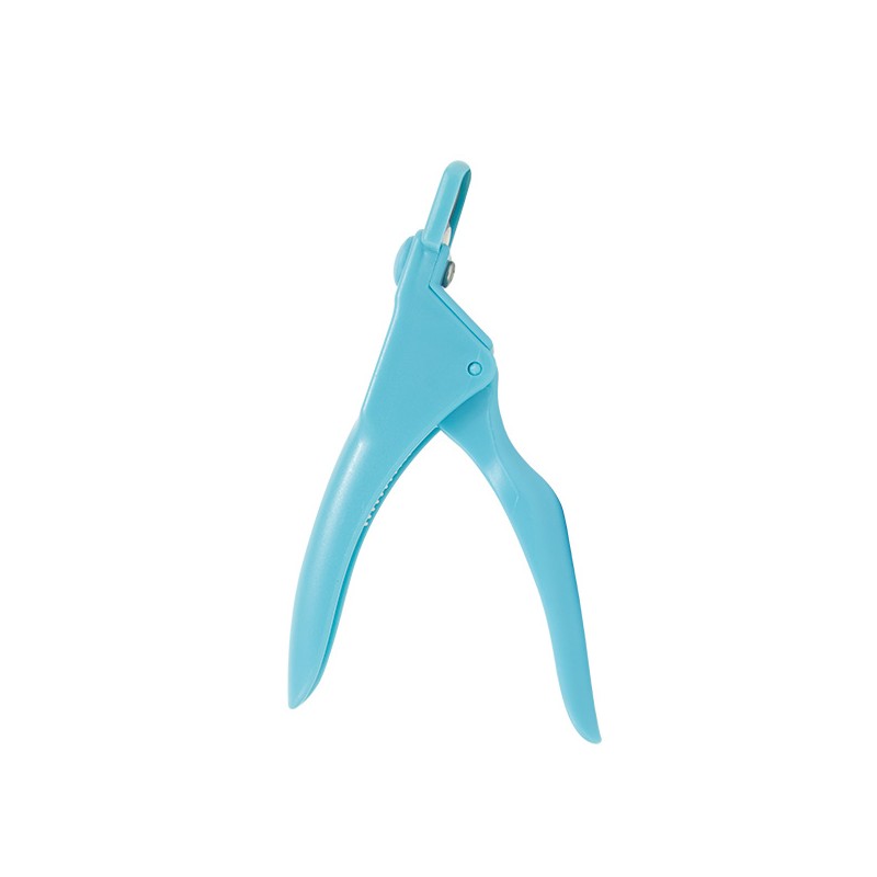 Corta Tip Ocean Blue Colorful