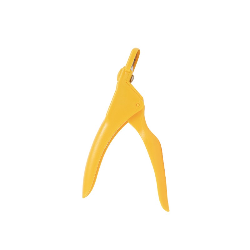 Corta Tip Sun Light Colorful