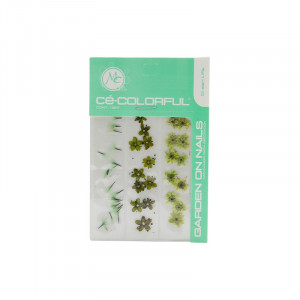 Naturaleza Set De 3 Mix Color: Green Life Colorful