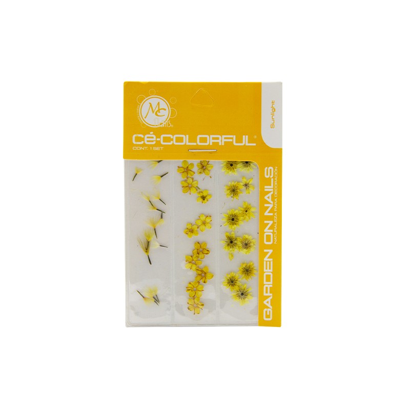 Naturaleza Set De 3 Mix Color: Sun Light Colorful